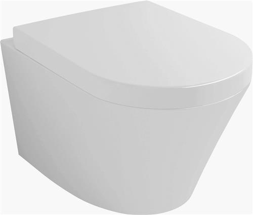 Sanifun Hangtoilet Fe 520 wit combi