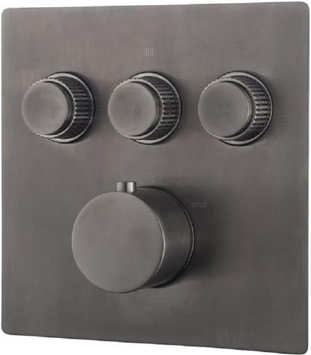 Sanifun afbouwplaat Theofiel Gunmetal