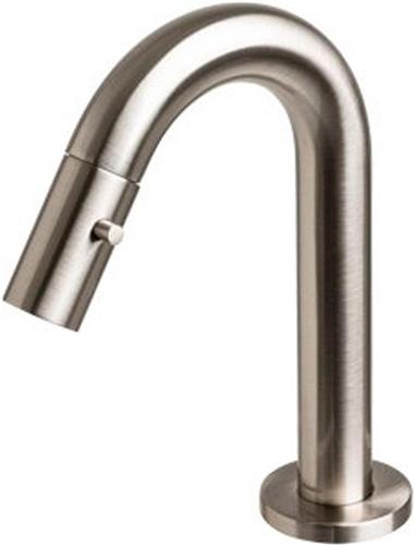 Plieger Lupo 2.0 Toiletkraan  Opbouw fonteinkraan  Laag model  Uitloop 10.1 cm  10 jaar garantie  Geborsteld chroom