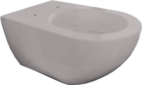 Royal Plaza Belbo wandcloset - 55cm - cycloneflush - zonder spoelrand - cement