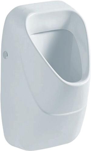 Geberit 300 urinoir met keramisch rooster met achterinlaat 34x34cm wit